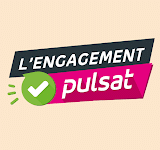 PULSAT  Digital Services