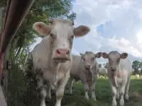 GAEC Ferme des Bruyères